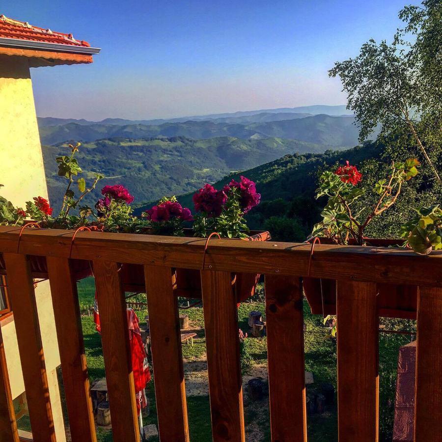 Family Hotel Panorama Чифлик Екстериор снимка