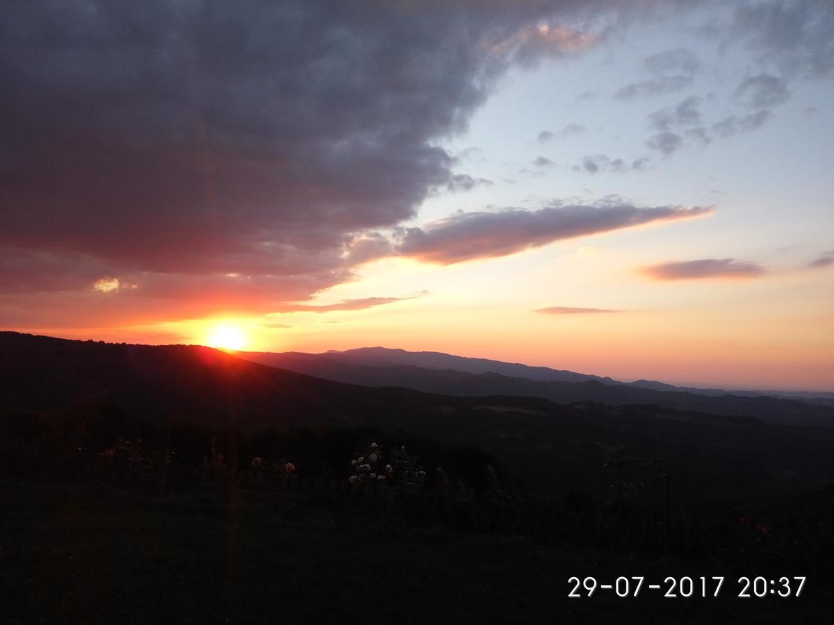 Family Hotel Panorama Чифлик Екстериор снимка