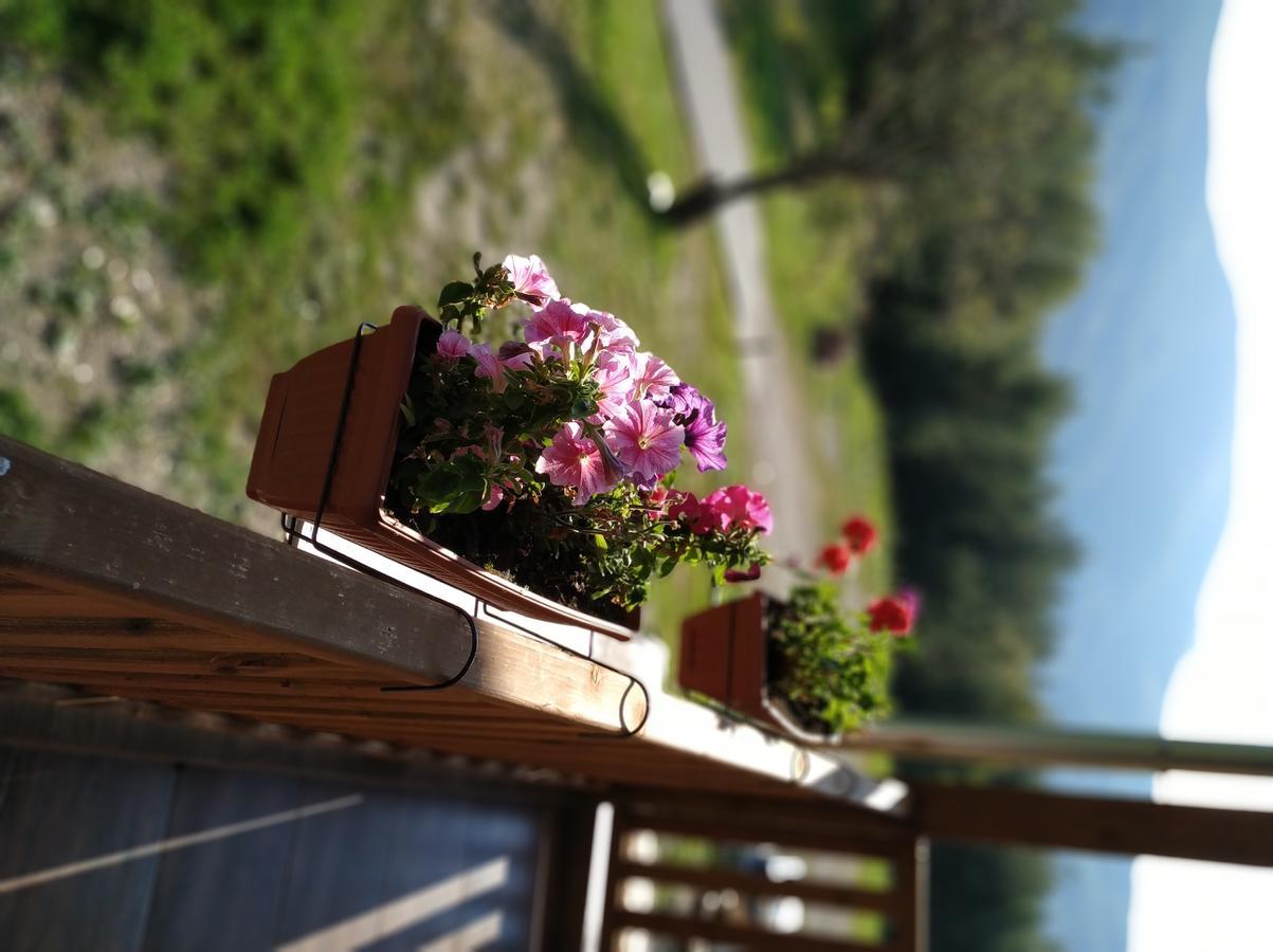 Family Hotel Panorama Чифлик Екстериор снимка